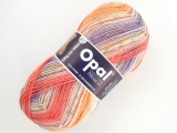 Opal 9711 コットンプレミアム2019 お花畑