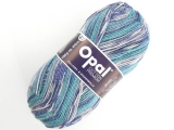Opal 9717 コットンプレミアム2019 ピクニック