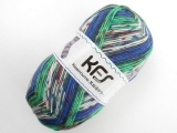 Opal KFS122 気仙沼”大沢”