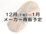 Opal 5436 ヴァン・ゴッホ 「ゴーギャンの椅子」