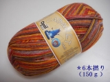 Opal 9230 キャバレー(6本撚り) 幕開け