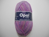 Opal 2505 コットン2009