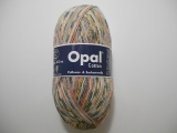 Opal 2503 コットン2009