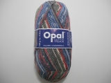 Opal 5613 コットンプレミアム