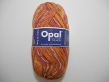 Opal 5616 コットンプレミアム