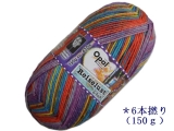 Opal 9425 世界旅行(6本撚り) パラグアイ