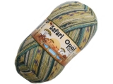 Opal 9534 サファリ ナミビア