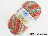 Opal 9550 ライト(3本撚り) 夏至
