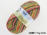 Opal 9553 ライト(3本撚り) 蕾