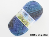 Opal 9554 ライト(3本撚り) 立夏
