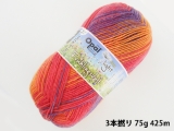 Opal 9555 ライト(3本撚り) チェリー