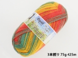 Opal 9557 ライト(3本撚り) マルハナバチ