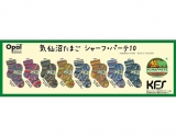 ☆気仙沼たまごシャーフ・パーテ10