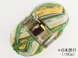 Opal 9780 レーゲンヴァルト15(6本撚り)ステファン