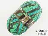 Opal 9785 レーゲンヴァルト15(6本撚り)ガービー