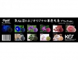 ☆気仙沼たまごオリジナル単色(ブラック)