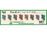 ☆気仙沼たまごシャーフ・パーテ11