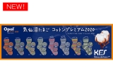 ☆気仙沼たまごコットンプレミアム2020