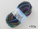 Opal アロエ毛糸 2050