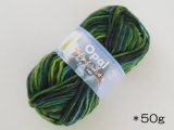 Opal アロエ毛糸 2054