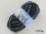 Opal アロエ毛糸 2057
