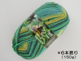 Opal 9911 レーゲンヴァルト16(6本撚り)ミドリのヒロハシ
