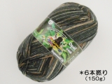 Opal 9916 レーゲンヴァルト16(6本撚り)ベビーボノボ