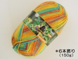 Opal 9917 レーゲンヴァルト16(6本撚り)オレンジの魚