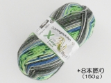 Opal 9885 スノードロップ(8本撚り)雪の道