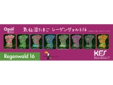 気仙沼たまご レーゲンヴァルト16