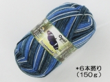 Opal 11107 レーゲンヴァルト17(6本撚り) フーゴ