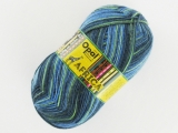Opal 11160 アフリカ ケープタウン