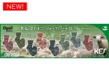 気仙沼たまご シャーフパーテ15