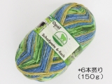 Opal  11063 シャーフパーテ(6本撚り)