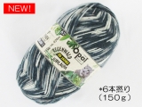 Opal  4024 レーゲンヴァルト20(6本撚り) マーロン