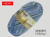 Opal 11433 冬の太陽(8本撚り) スノーダンス