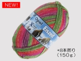 Opal 11570 アイスエイジ(8本撚り) 壁画