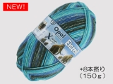 Opal 11571 アイスエイジ(8本撚り) 氷の洞窟