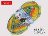 Opal 11572 アイスエイジ(8本撚り) 北極の夕日