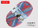 Opal 11575 アイスエイジ(8本撚り) 南極の太陽