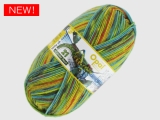 Opal 11605 RW21 トゲムネバッタ