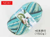 Opal  11610 レーゲンヴァルト21(6本撚り) コキンチョウ