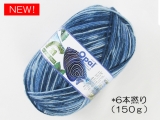 Opal  11617 レーゲンヴァルト21(6本撚り) ウズマキ