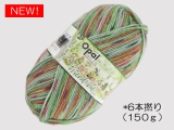 Opal  11561 フレンドシップ (6本撚り) 一緒に食べよう