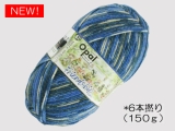 Opal  11562 フレンドシップ (6本撚り) 演奏しよう