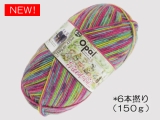 Opal  11563 フレンドシップ (6本撚り) 手をつなごう