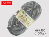 Opal  11564 フレンドシップ (6本撚り) 一緒にいよう