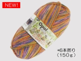 Opal  11565 フレンドシップ (6本撚り) 一緒にキャンプ