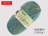 Opal  11566 フレンドシップ (6本撚り) 体験しよう