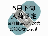 Opal 単色 9933 深緑